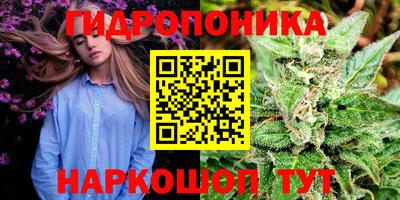 ПСИЛОЦИБИНОВЫЕ ГРИБЫ Балаково