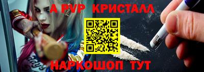 ГАЛЛЮЦИНОГЕННЫЕ ГРИБЫ Кингисепп