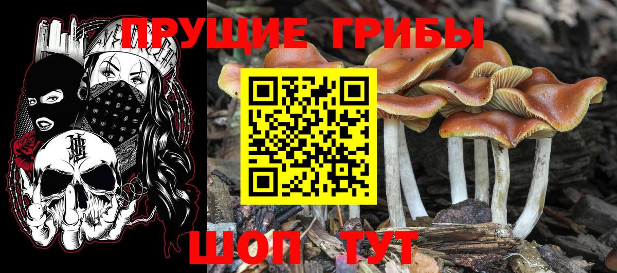 Серов  Псилоцибиновые грибы ЛСД  Вход с VPN  Галлюциногенные грибы мицелий 